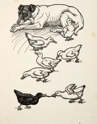 A Singular Foster-Mother, fra A Hundred Anecdotes of Animals, pub. 1924