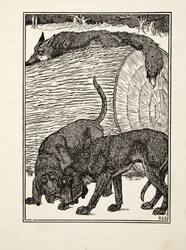 Cunning as a Fox, fra A Hundred Anecdotes of Animals, pub. 1924
