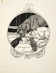 Odd Fraternity, fra A Hundred Anecdotes of Animals, pub. 1924