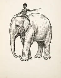 Remorse, fra A Hundred Anecdotes of Animals, pub. 1924