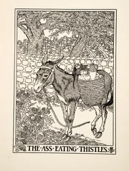 The Ass eating Thistles, fra A Hundred Fables of Aesop, pub.1903