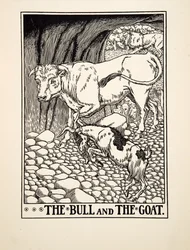 The Bull and the Goat, fra A Hundred Fables of Aesop, pub.1903 (gravering)