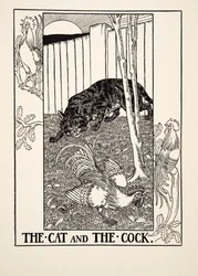 Katten og hanen, fra Hundre fabler av Æsop, utgitt 1903