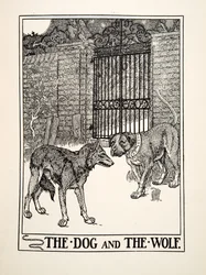 The Dog and the Wolf, fra A Hundred Fables of Aesop, pub.1903 (gravering)
