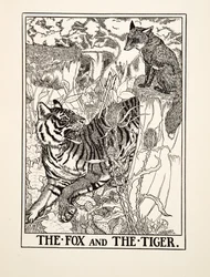 The Fox and the Tiger, fra A Hundred Fables of Aesop, pub.1903 (gravering)