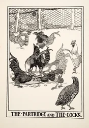 Rapphøna og hanene, fra Hundre fabler av Æsop, utgitt 1903