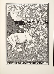The Stag and the Vine, fra Fontaine Fables, pub. 1905