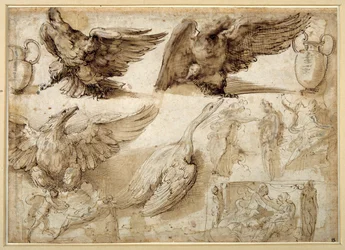 Studier av en ørn, en gås, en kanne, en krukke og av menneskelige figurer inkludert to for en Rape of Lucretia (penn og brunt blekk med brun vask på hvitt trådlagt papir)
