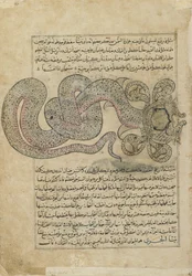 The Sea-SerpentDragon (al-Tannin), folio fra Ajaib al-makhluqat (Skapelsens under) av al-Qazvini, Irak eller Øst-Tyrkia (ugjennomsiktig akvarell, blekk, gull og sølv på papir)