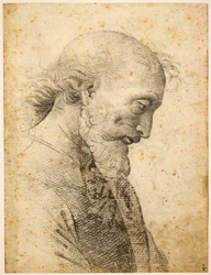Byste av en mann, 1500-1503.