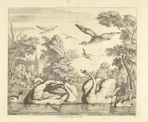 Tre svaner og andre fugler ved en dam Forskjellige fugler (serietittel)