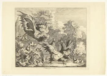 hanekamp Forskjellige fugler (serietittel)