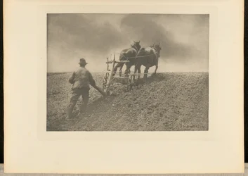 Et hardt drag. [Suffolk.]