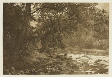 Nær Reynards hule, Dove Dale