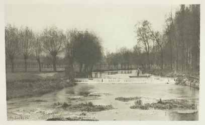 The Shoot, Amwell Magna-fisket