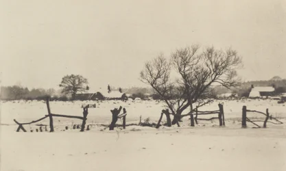 De snødekte myrområdene