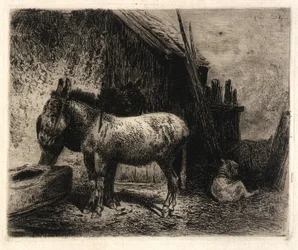(Esler og sauer)