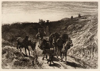 Et burro-tog, New Mexico
