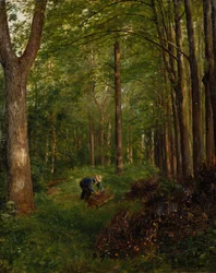 Gammel poppel, del av Gulskov-hagen