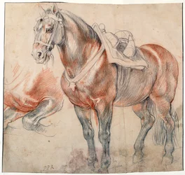 ""en sadelhest"" Akvarell av Pieter Paul Rubens (1577-1640) ca. 1616-1618 Wien Bibliotheque albertina