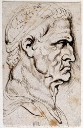 Vespasian, fra ti tegninger av åtte av de første tolv Cæsarene, etter Giovanni da Cavinos medaljer (penn og blekk på papir)
