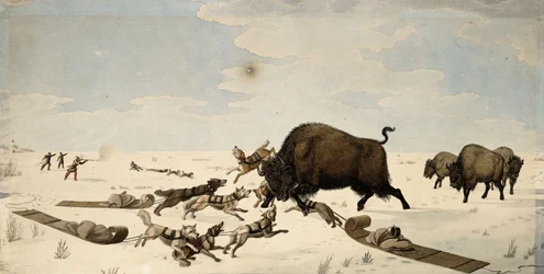 Buffalo Hunt, ca. 1822-1824