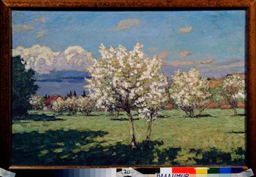 Kirsebærblomster. Maleri av Pyotr Ivanovich Petrovichev (Pyotr Petrovichev) (1874-1947), olje på lerret