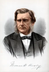 Thomas Henry Huxley, engelsk biolog, c1890.