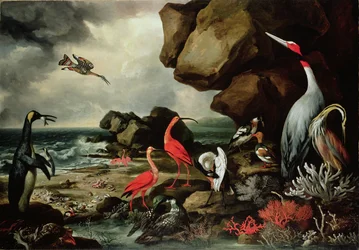 En pingvin, et par flamingoer og andre eksotiske fugler, skjell og koraller på kystlinjen