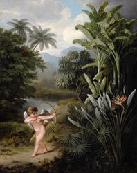 Cupid inspirerer plantene med kjærlighet, malt for Robert Thorntons bok «Ny illustrasjon av Linnés seksuelle system», ca. 1797