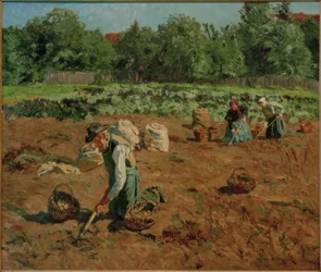 Potethøst