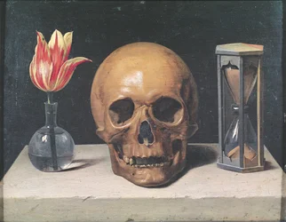 Vanitasstilleben med en tulipan, hodeskalle og timeglass