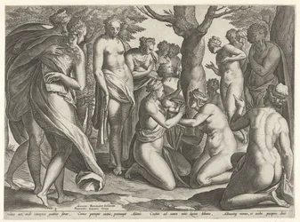 Fødsel av Adonis The Story of Adonis (serietittel)