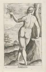 Vannymfe Ambracia Ambracia (tittel på objekt) Stroom en waternimfen (serietittel) Oceanitid-nymfer, epihidrid potamidus naiads (serietittel)