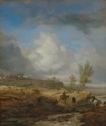 Skyet dynelandskap