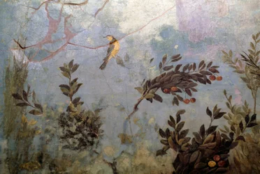 Fugl, detalj fra en freske som viser en hage med trær og fugler, fra House of Livia på Palatine-høyden, Roma, Italia. romersk sivilisasjon