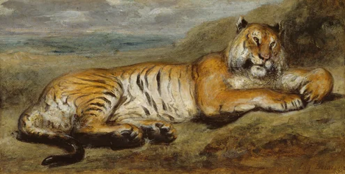 Tiger hviler, ca. 1830.