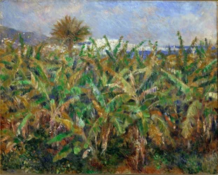 Bananåkre (oljemaleri)