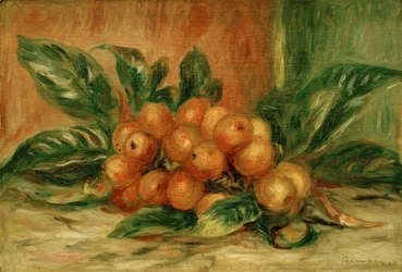 Loquat
