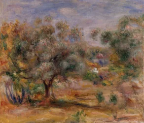 Oliventre i Les Collettes, ca. 1910–15 (olje på lerret)