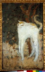 Den hvite katten