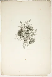 Bukett med nelliker, fra samling av forskjellige blomsterbuketter, oppfunnet og tegnet av Jean Pillement og gravert av P. C. Canot