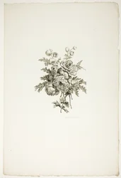Bukett med peoner, fra en samling av forskjellige blomsterbuketter, oppfunnet og tegnet av Jean Pillement og gravert av PC Canot