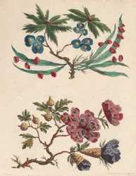 To sprøyter med imaginære blomster