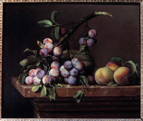 Plommer, squash og fersken på en marmorentablatur Maleri av Pierre Dupuis (1610-1682) 1650 Søn. 0,51x0,6 m