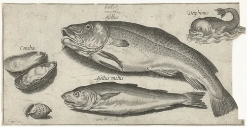 Torsk, hvitting, en delfin og skjell Fiske (serietittel) Piscium vivae-ikoner (serietittel)
