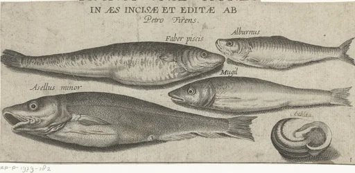 Brisling, karpe, multe, liten torsk og et skjell Fiske (serietittel) Piscivm vivae-ikoner (serietittel på objekt)