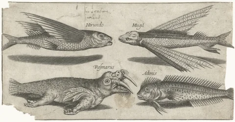 Flyvende grynt, klump, blenny og en hvalross Fiske (serietittel) Piscivm vivae-ikoner (serietittel)