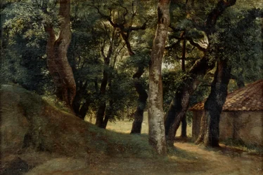 Skog i Villa Borghese, sent 18. - tidlig 19. århundre