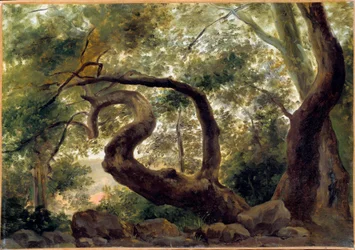 Under tre, trær med vridende greiner Maleri av Pierre H. de Valenciennes (1750-1850) 1800-tallet Søn. 0,33x0,47 m